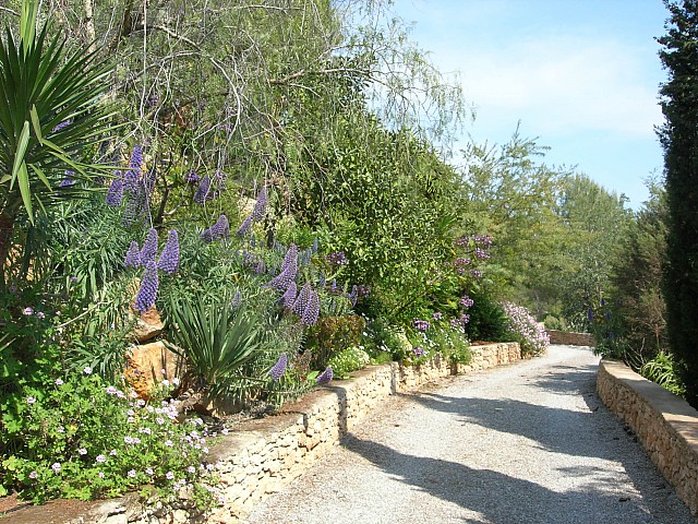 Живописный сад комплекса с 2 виллами в Сан Лоренсо  