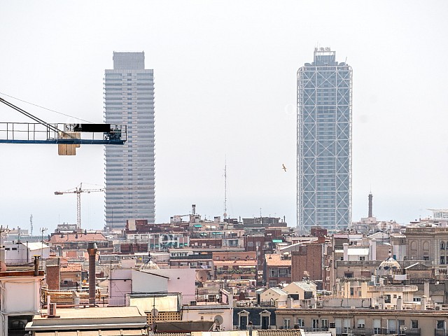 Vistas