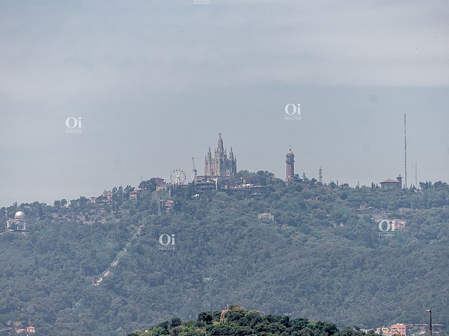Vistas