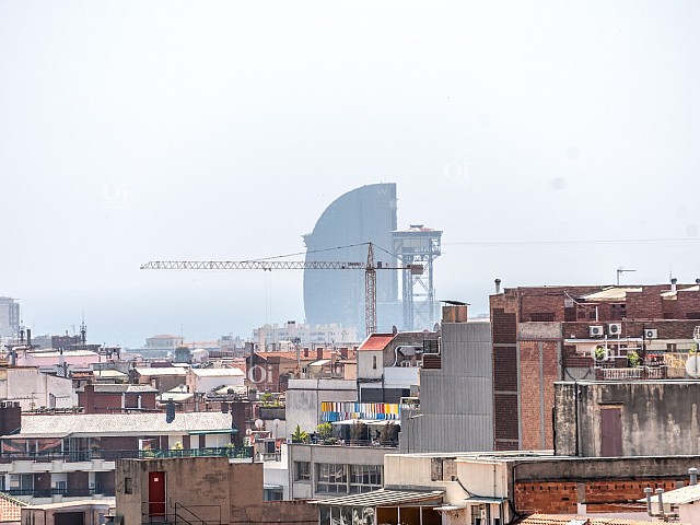 Vistas