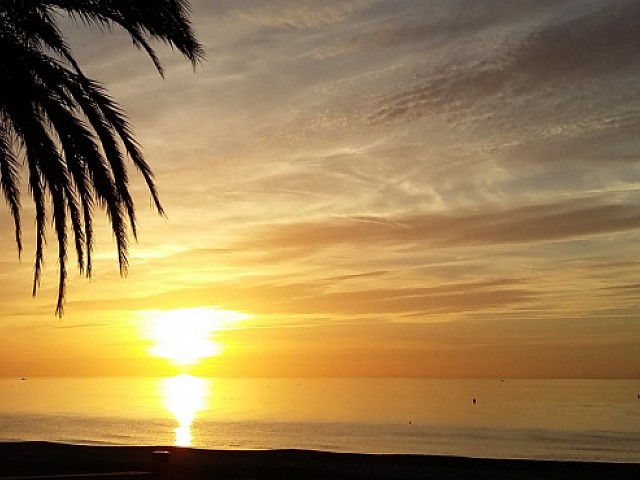 C8 Estepona Playa Rada amanecer