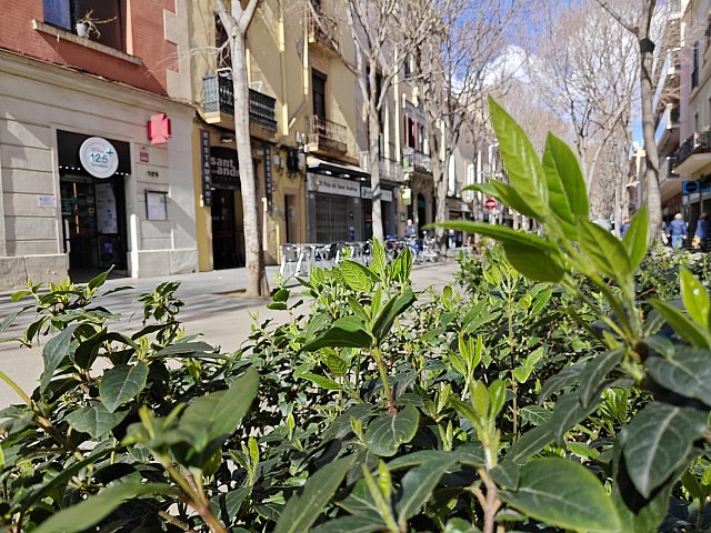 Piso en venta en el corazón de Sant Andreu del palomar