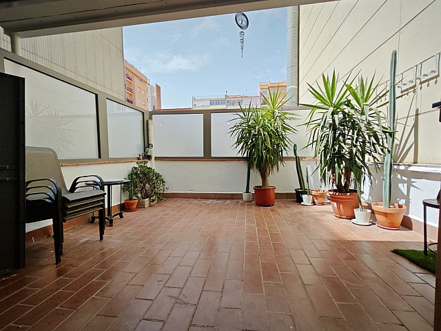 Terraza (1)